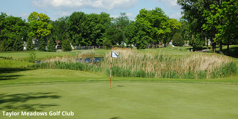 Taylor Meadows Golf Club near Detroit