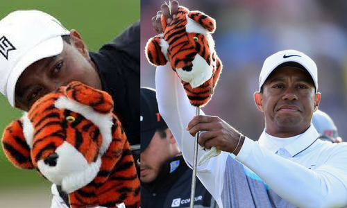Tiger wood's headcover.png