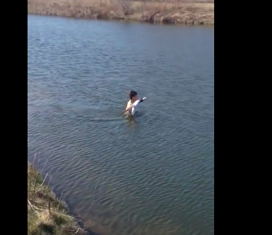 Club Golfer Climbs in Water to Retrieve Golf Ball